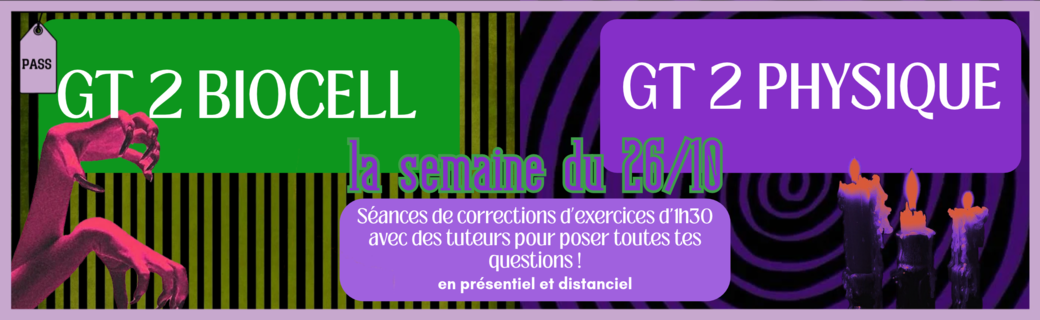 GT 2 Physique x Biocell